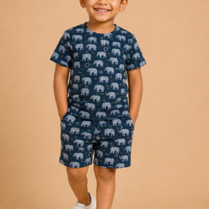 Elephant Blue Printed Co-ord Set